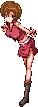 桂木